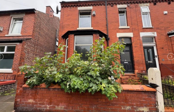 Renovation in Edgeley photo